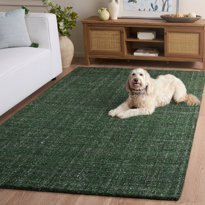 Tapis d'intérieur abstrait touffeté à la main Performance, Rectangle 5 pi x 8 pi