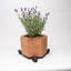 Elara Weather Resistant Planter Feet