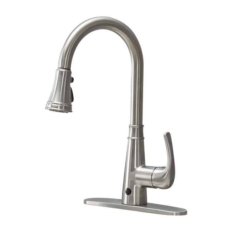 Cobbe Pull Down Touchless Kitchen Faucet