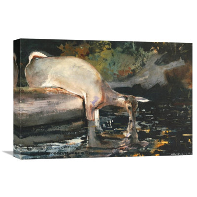 " Deer Drinking " by Winslow Homer