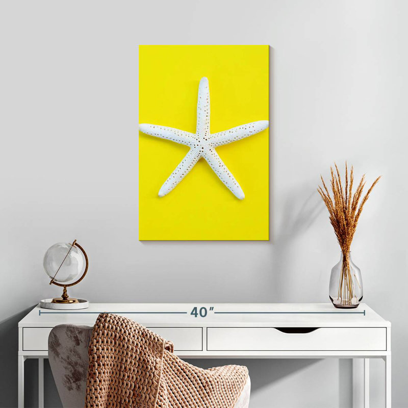 Brampt White Sea Star, 24" H x 16" W