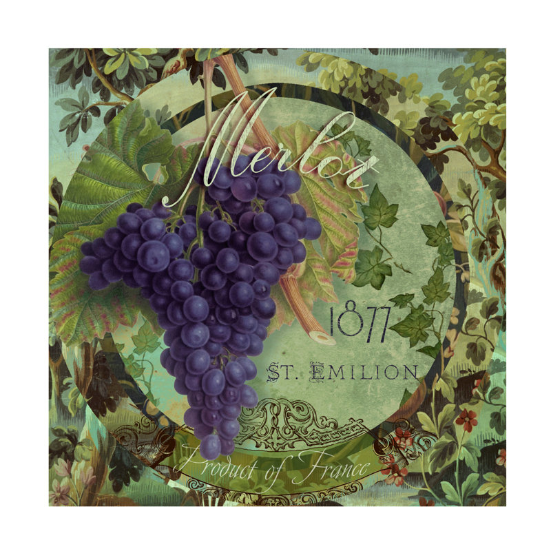 Art sur toile Sasha Wines Of France III, H 14 po x l 14 po