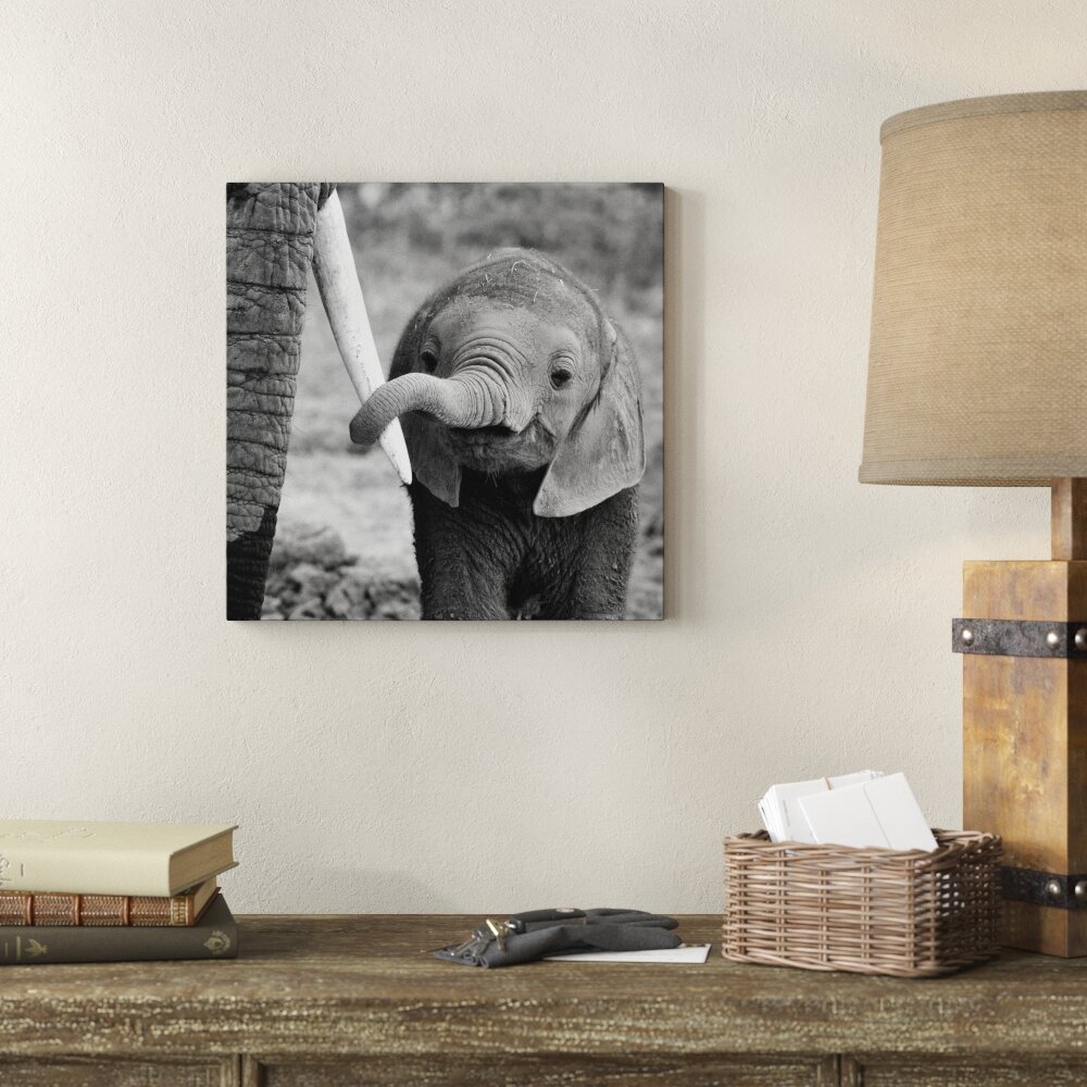 Leinwandbild Elephant Baby