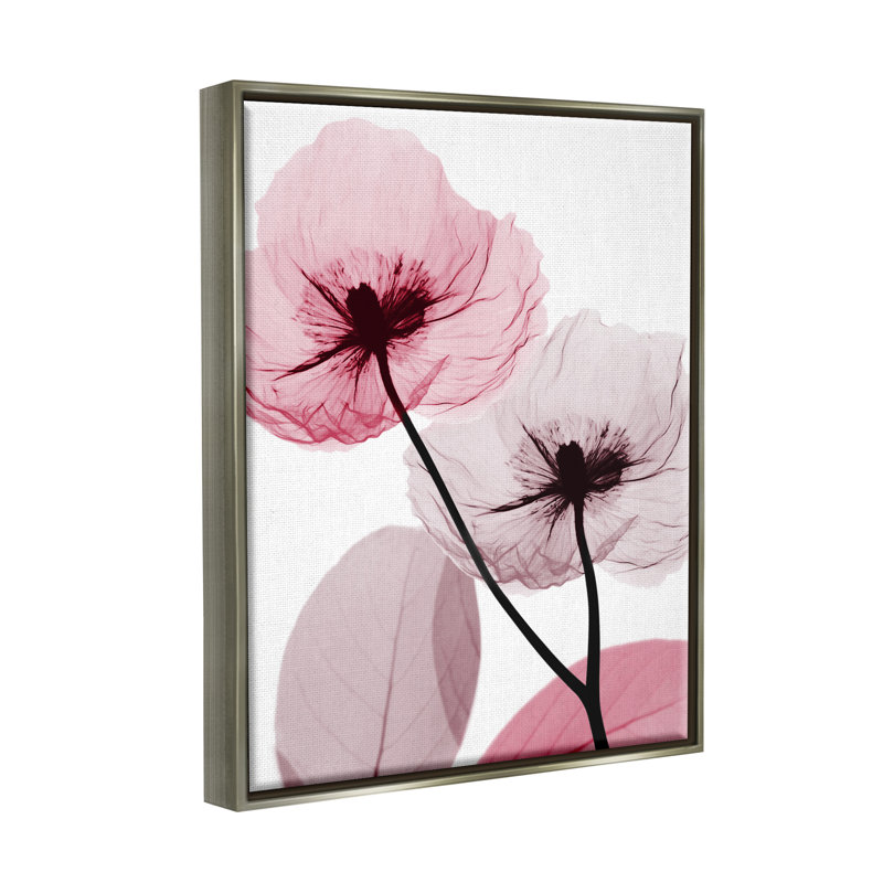 Aw-999-Fleurs de pavot roses encadrées par Albert Koetsier, H 31 po x l 25 po x P 1,7 po, Cadre flottant gris lustré