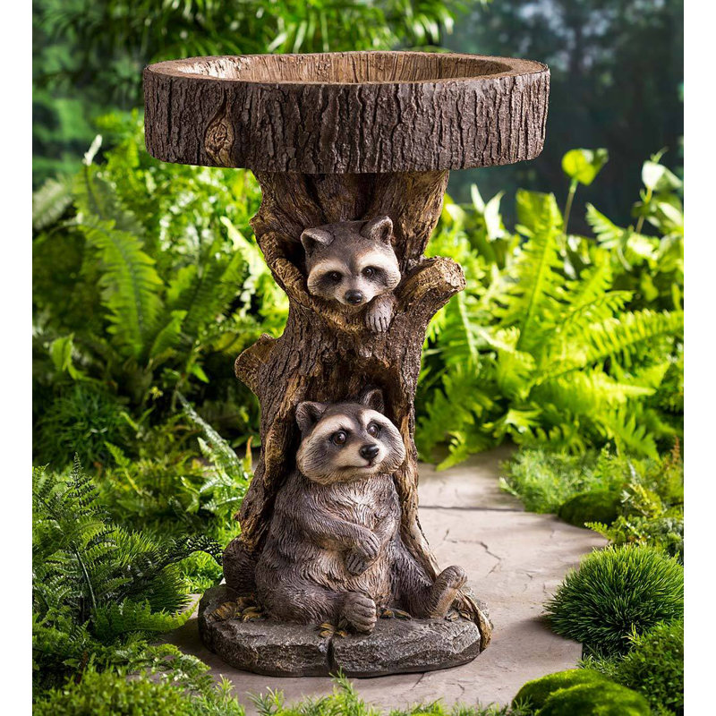 Resin Raccoon Bird Bath