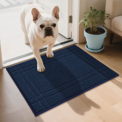 Non-Slip Doormat, Machine Washable Absorbent Entryway Rug for Shoes & Paws, Stain Resistant Low Profile Door Mat for Indoor Front/Back Entry