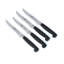 Zwilling Four Star 4-piece Steak Knife Set