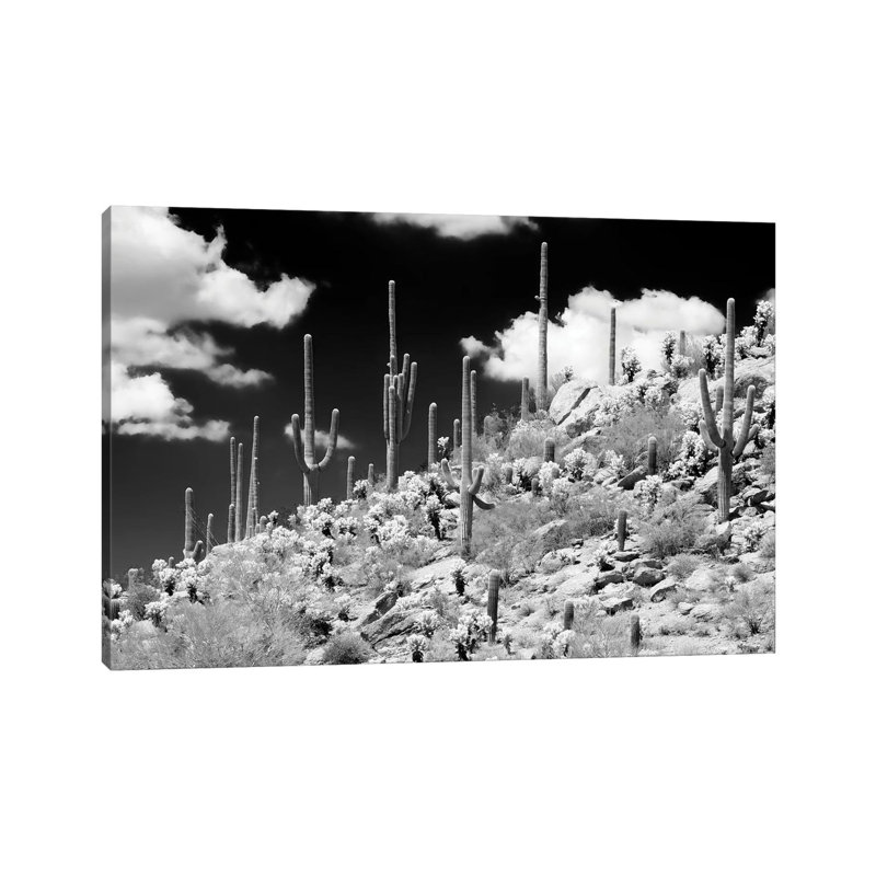 Série noire Arizona - Saguaro Cactus Hill-PHD1469, H 26 po x l 40 po x 1,5 po