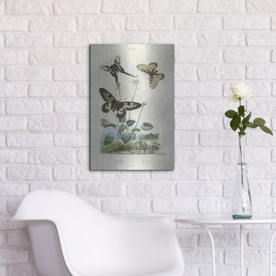 «Papillons - Parnassie» par August Licensing Studio