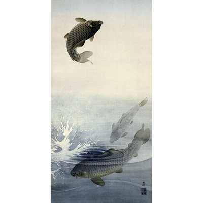 Carp - Wrapped Canvas Print