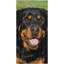 Serviette de plage à séchage rapide en microfibre pour chien Rottweiler, 50 x 60 po