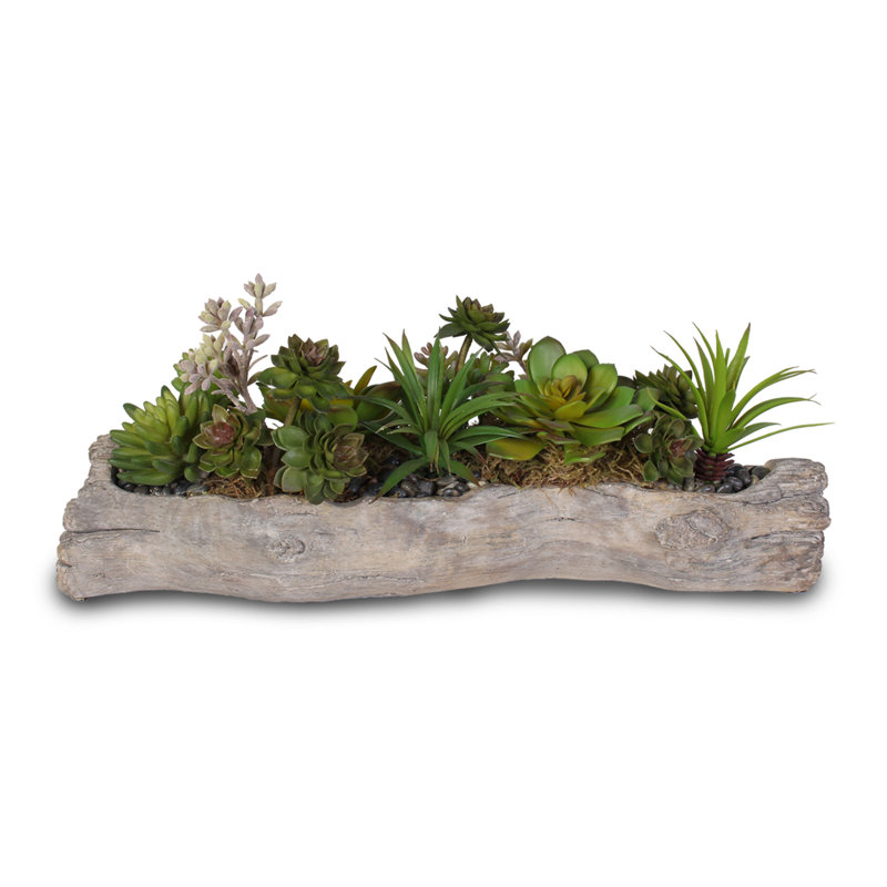 Faux Succulent Plant in Cement Pot
