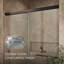Revel 59.63'' x 76'' Double Sliding Shower Door with CleanCoat® Technology-785343697-788764344