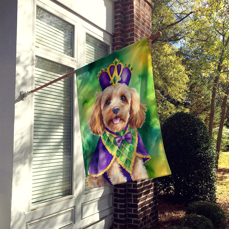 Double Sided 40'' H x 28'' W Polyester Mardi Gras House Flag