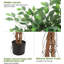 Arrangement