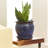 Wisteria Handmade Ceramic Pot Planter-36954725