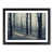 Black Framed