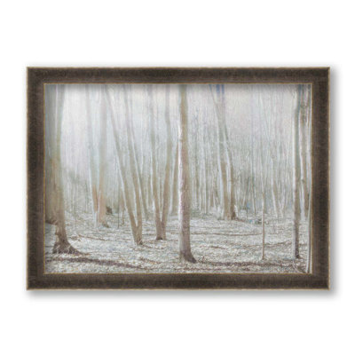 Light in the Forest by Hal Halli. Paper Print - Mounted & Framed with Clear Acrylic