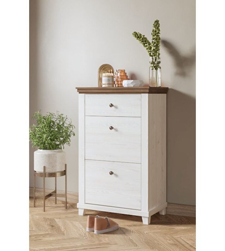 Cannady 28 Pair Shoe Storage Cabinet, Ash