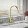 Simplice Pull Down Single Handle Kitchen Faucet