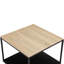 Taion Coffee Table