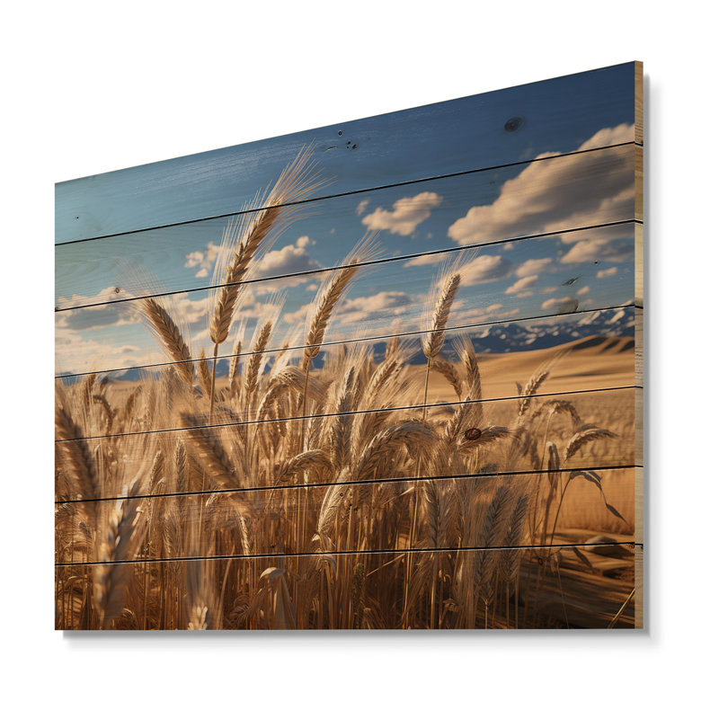 Golden Harvest Meadow Horizon I - Meadow On Wood Print, 30" H x 40" W x 0.78" D