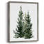 Simple Evergreen I, reproduction encadrée - bois massif-622171247