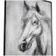 Sur toile
