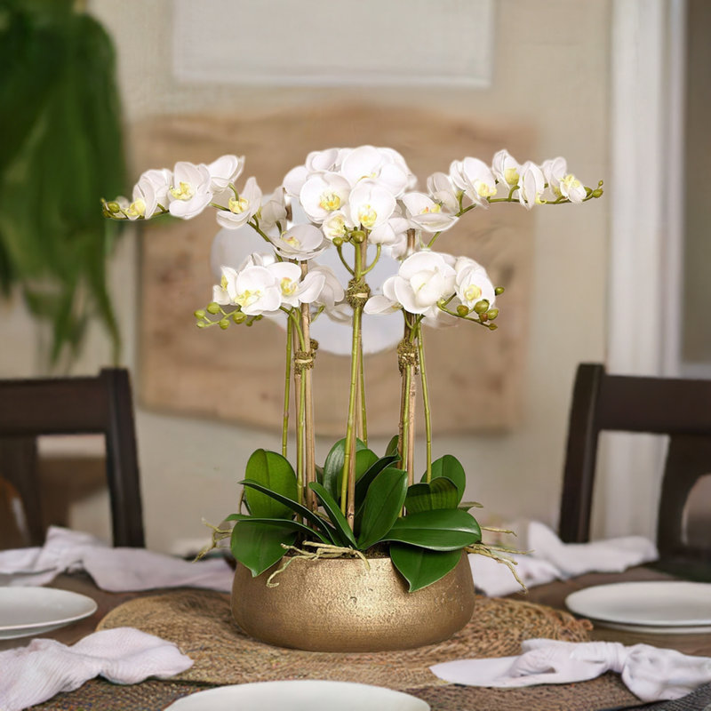 Orchid Floral Arrangement in Planter, 24" x 18", White, Gold