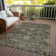 Segin Area Rug with Non-Slip Backing