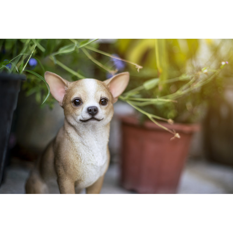 Statue chihuahua assis