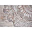 Wooden Mandala by Grant Wood - Wrapped Canvas Painting