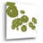 " Pilea " by Trish Sierer-527079454