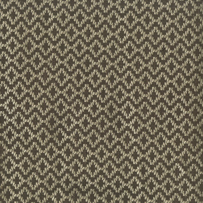Tissu Wealth