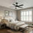  Seale 52 inch Smart Ceiling Fan with Remote/APP/Alexa Control, Downrod Mount, Reversible DC Motor, 5 Blades, 6 Speeds, 3CCT, Dimmable, Noiseless, Bedroom, Living Room, Black
