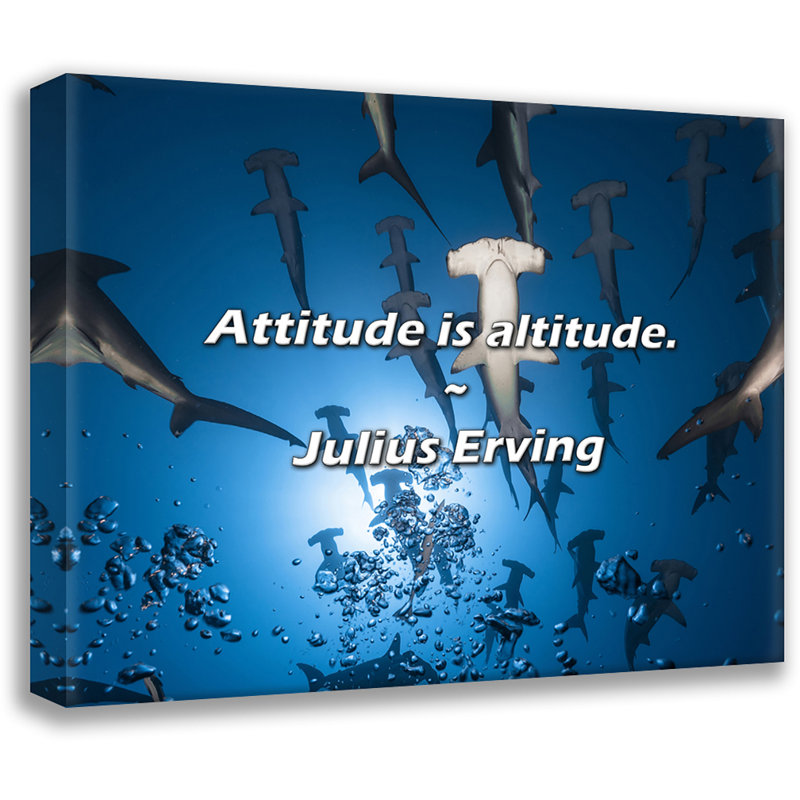 Julius Erving, citation: L'attitude est l'alitude., H 15 po x l 18 po