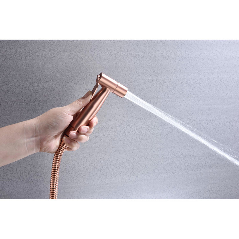 Toilet Handheld Bidet - Rose Gold, Metal Construction, Two Water Modes, Rust, , Easy Installation Steps For Gold Metal, 2 Spray Modes Hygiene Care, Rust And Corrosion , Procedure