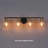 Jorinde 4 - Light Dimmable Vanity Light