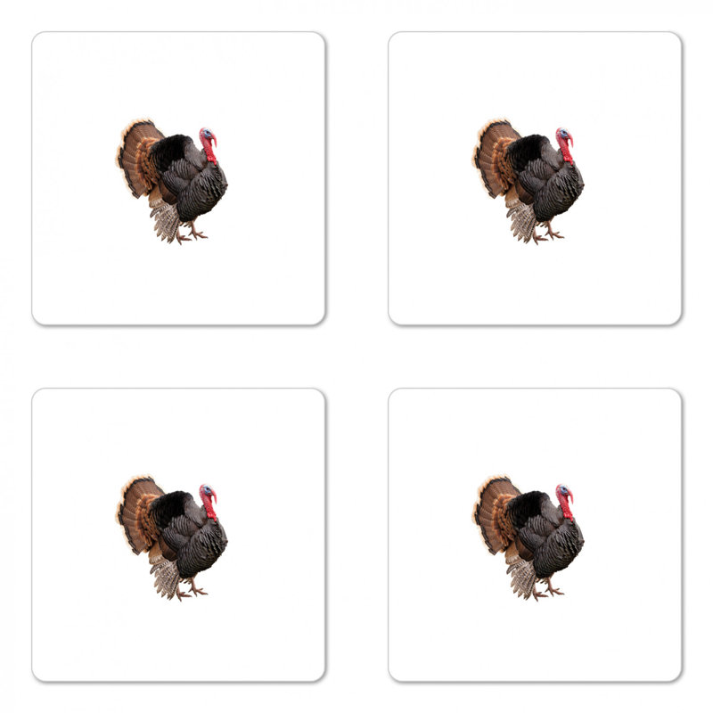 Square 4 Piece Coaster Set