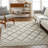 Anfriede Geometric Indoor Rug-1458558586