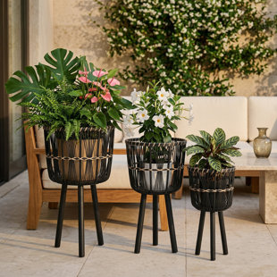 Ensemble de jardinière neutre en osier Boho, décoration de jardin d'intérieur polyvalente