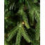 243.84cm H Lighted Artificial Christmas Tree