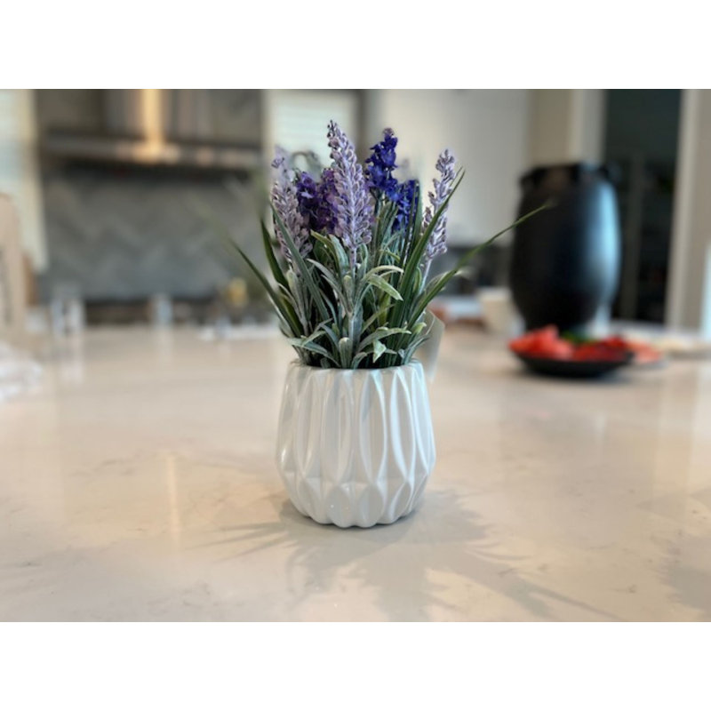 Arrangement floral lavande en pot