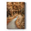 Chemin sinueux - Cavas enveloppés de galerie-1444644011