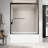60'' - W x 60'' H Double Sliding Door Framed Tub Door with Enduro Shield-94458683