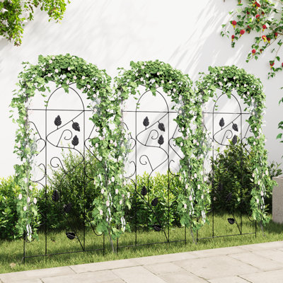 Aldora 100cm H x 40cm W Iron Arched Trellis