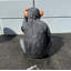 Statue monkey Max Chimpanzee