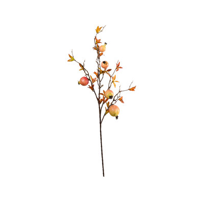 Primrue 38In Early Fall Young Pomegranate Branch, Pack Of 12