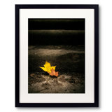 Plants & Flowers Print by Scott Norris