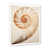 Cadre simple blanc